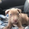 Molly