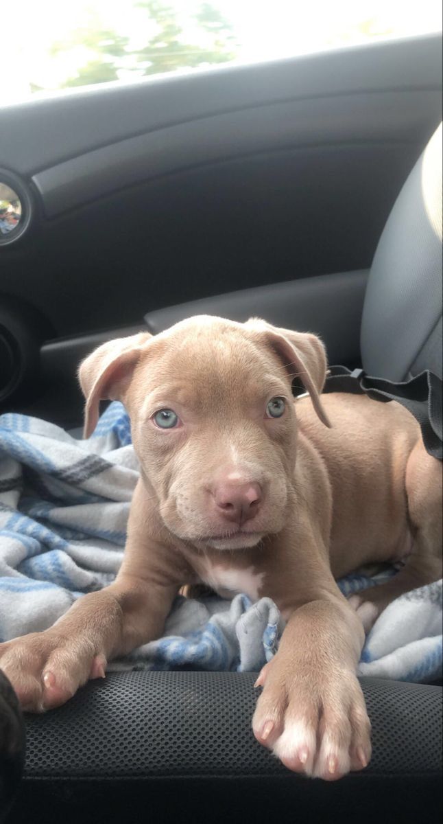 Molly