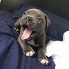 Tucker