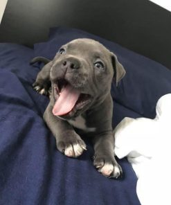 Tucker